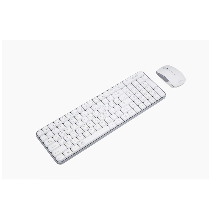 Beyond BMK-2261 RF Keyboard and Mouse
